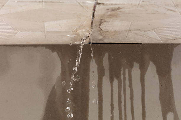 Professional Flood Damage Cleanup technician working in Rossville, KS